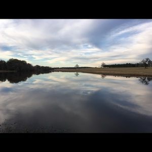 Meet your Posher, Eva